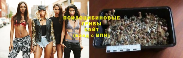 MDMA Premium VHQ Белоозёрский