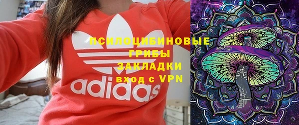 мдпв Белокуриха
