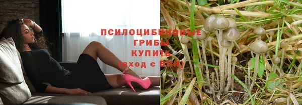 мдпв Белокуриха