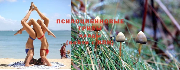 мдпв Белокуриха