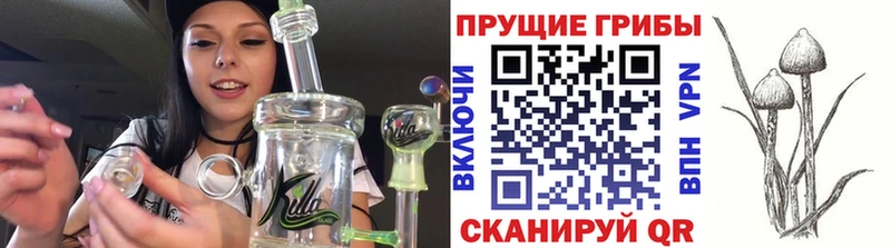 купить   Сердобск  кракен как войти  Галлюциногенные грибы мухоморы 
